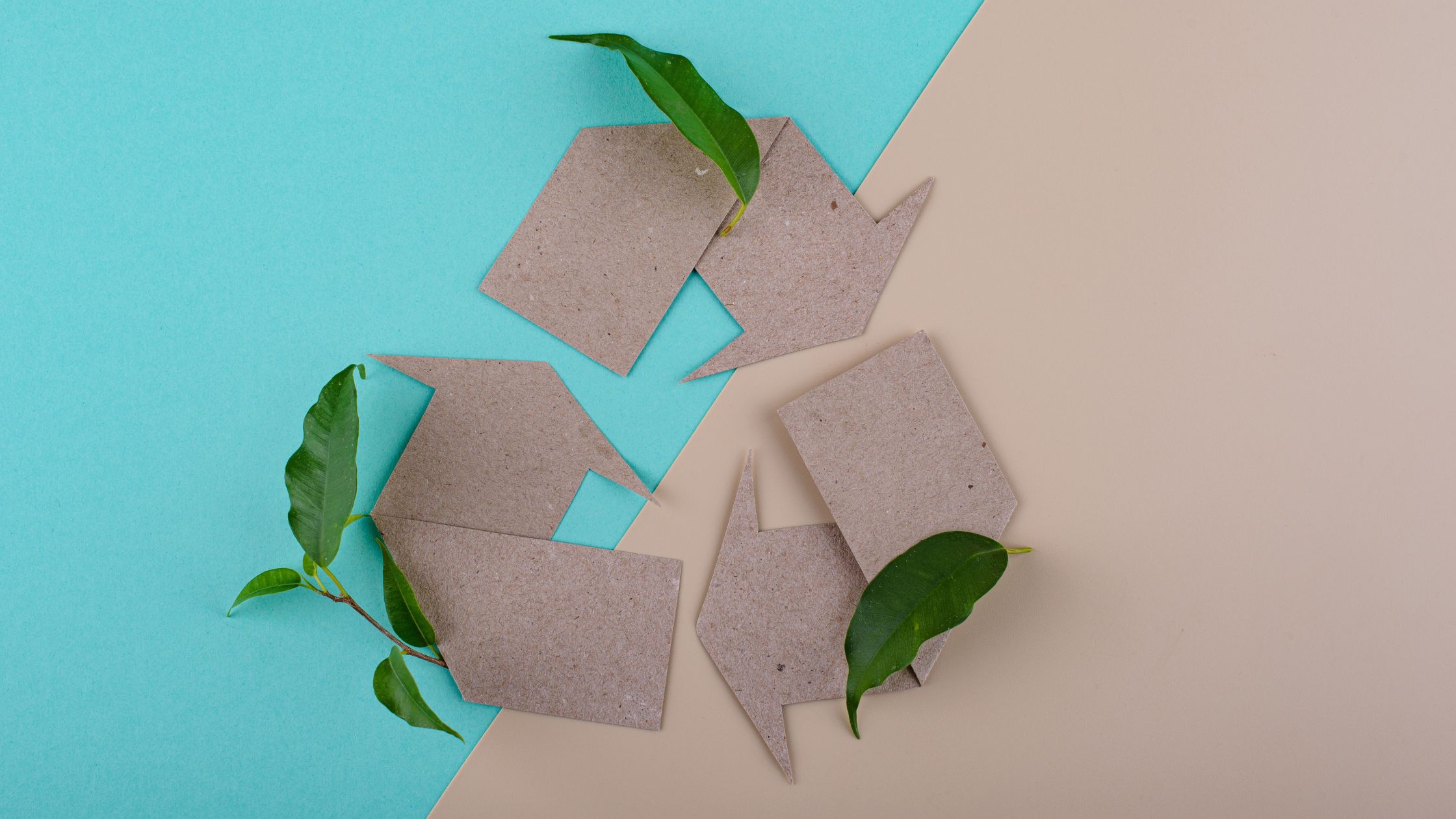 sustainable paper